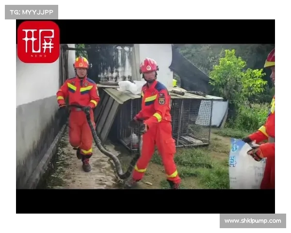 青岛惊魂一刻!老人被毒蛇咬伤,生死攸关的抢救时刻(老人被蛇咬了吃什么最好) 青岛惊魂一刻!老人被毒蛇咬伤,生死攸关的抢救时刻(老人被蛇咬了吃什么最好)